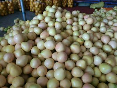 浙江省溫州市永嘉縣農產品價格行情走勢分析